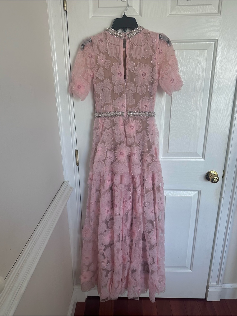 Self Portrait Pink Embellished Tulle Maxi Dress - Picture 10 of 16